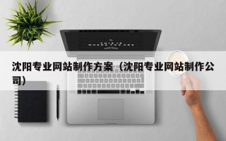 白山沈阳专业网站制作方案（沈阳专业网站制作公司）